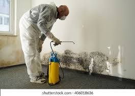 Best Mold Remediation for Vacation Homes  in Weston, MO